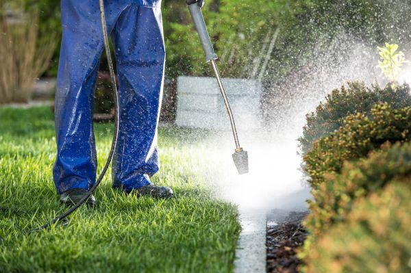 Curb Cleaning in Kirkland