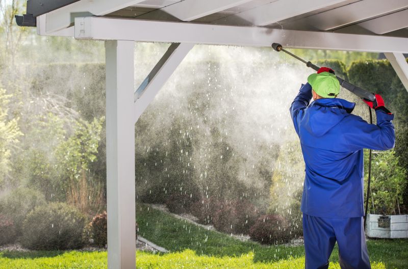 Carport Cleaning